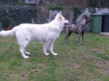 März 2015 - 20150326_111026.jpg