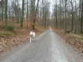 März 2015 - 20150326_170435.jpg