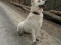 März 2015 - 20150326_172039.jpg