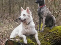 März 2015 - Foto 1-2.jpg