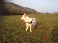 März 2015 - Foto 23.03.15 17 31 01.jpg