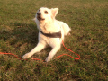 März 2015 - Foto 23.03.15 17 31 50.jpg