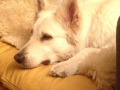 März 2015 - Foto 23.03.15 21 29 50.jpg