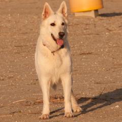 IMG_8408 - Kopie